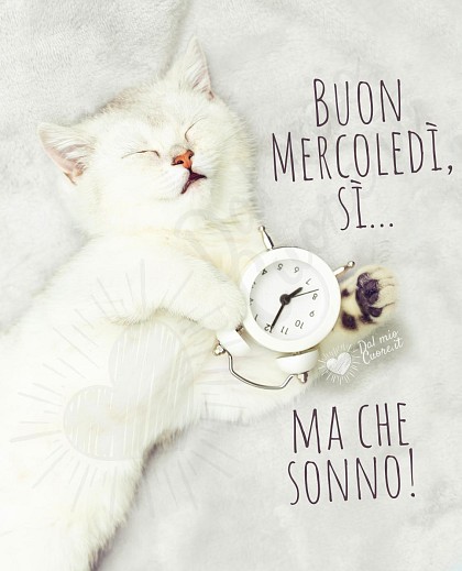 Buon Mercoledì, sì... ma che sonno
