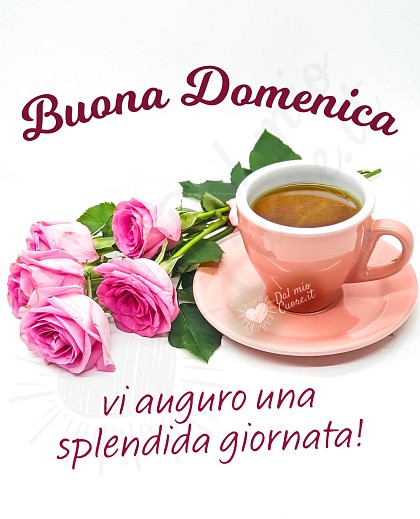 Buona Domenica. Vi auguro una splendida giornata!