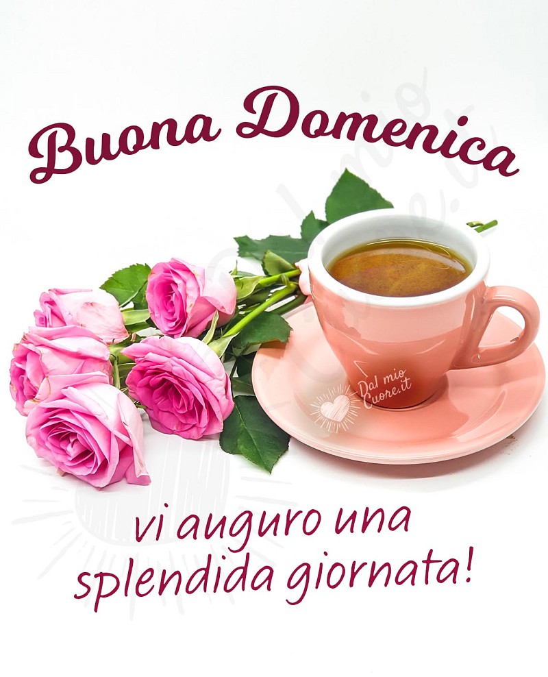 Buona Domenica. Vi auguro una splendida giornata!
