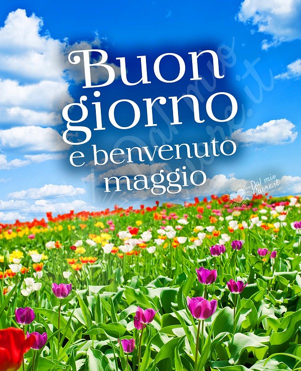 Buongiorno e benvenuto maggio