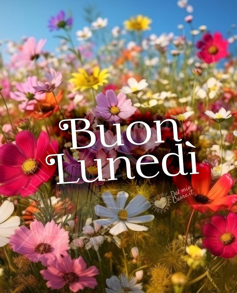Buon lunedì