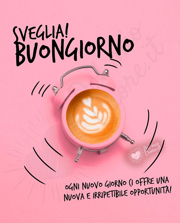 Immagini buongiorno con frase: Ogni nuovo giorno ci offre una nuova e irripetibile opportunità!