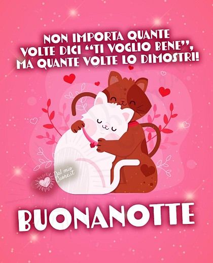 Buonanotte Frasi: Non importa quante volte dici “ti voglio bene”, ma quante volte lo dimostri!