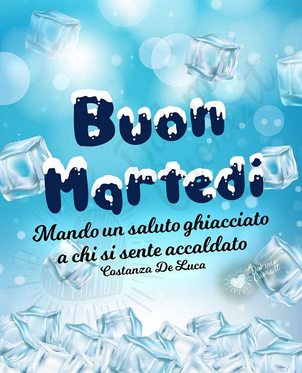 Buon martedì estivo divertente
