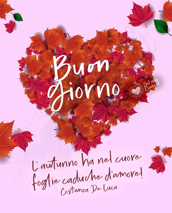 Buongiorno. L'autunno ha nel cuore foglie caduche d'amore!