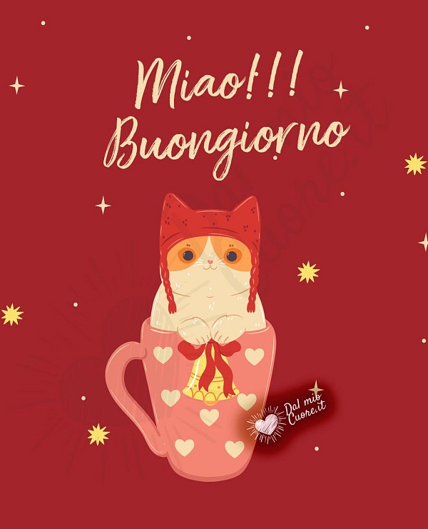 Miao!!! Buongiorno natalizio con gatto