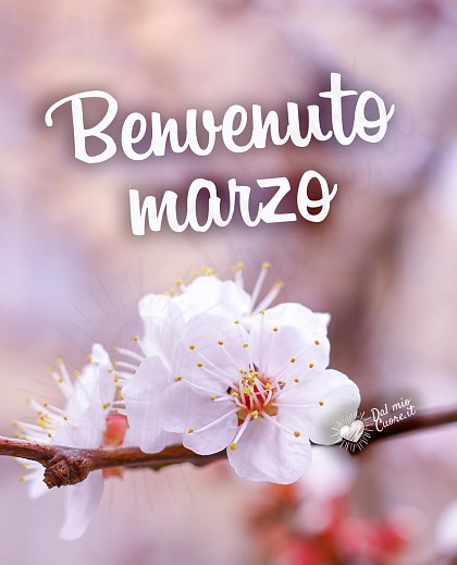 Benvenuto Marzo con fiori di ciliegio