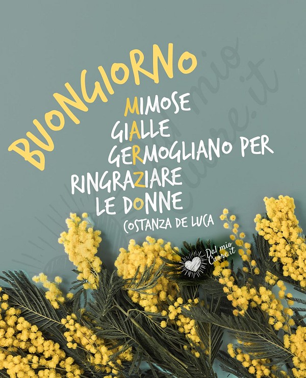 Buongiorno Marzo. Mimose gialle per ringraziare le donne