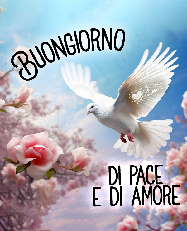 Buongiorno di pace e di amore