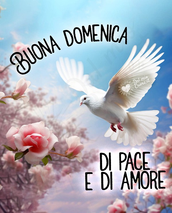 Buona domenica di pace e di amore