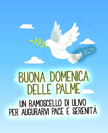 Buona domenica delle palme. Un ramoscello di ulivo per augurarvi pace e serenità