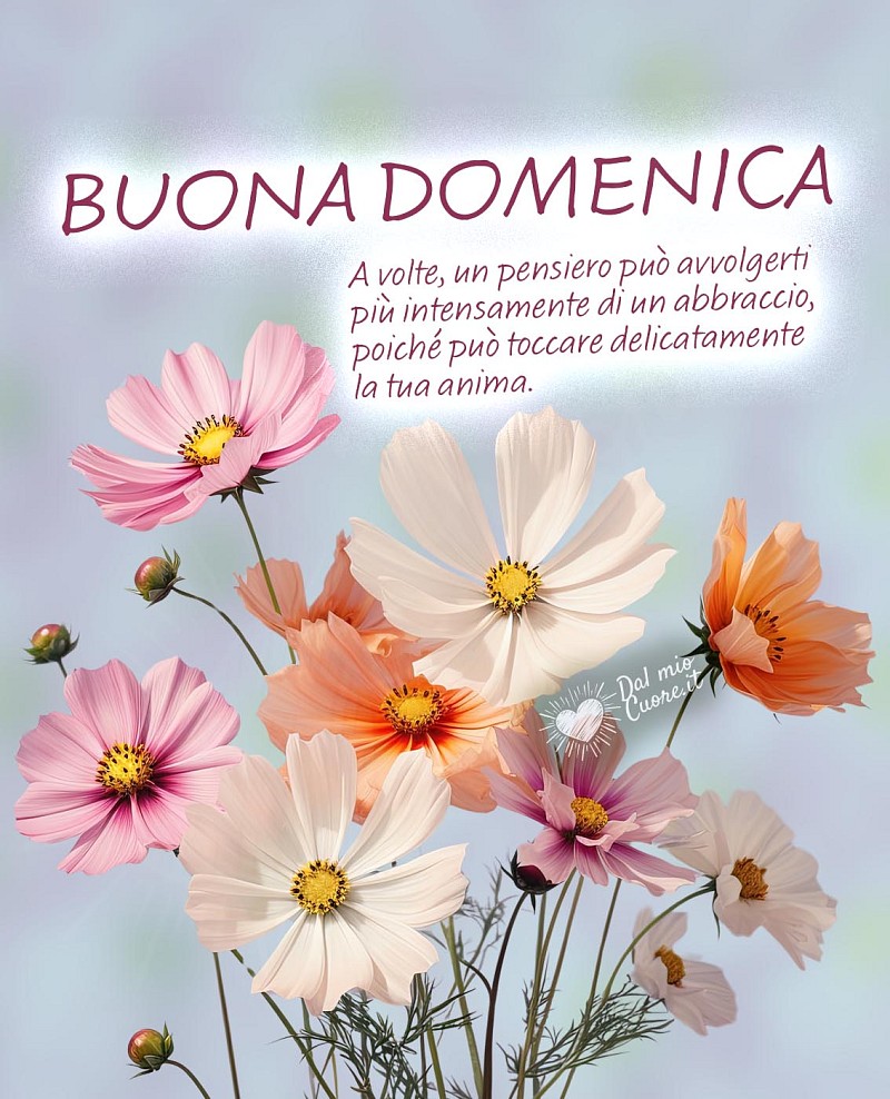 Buona domenica con frase e fiori