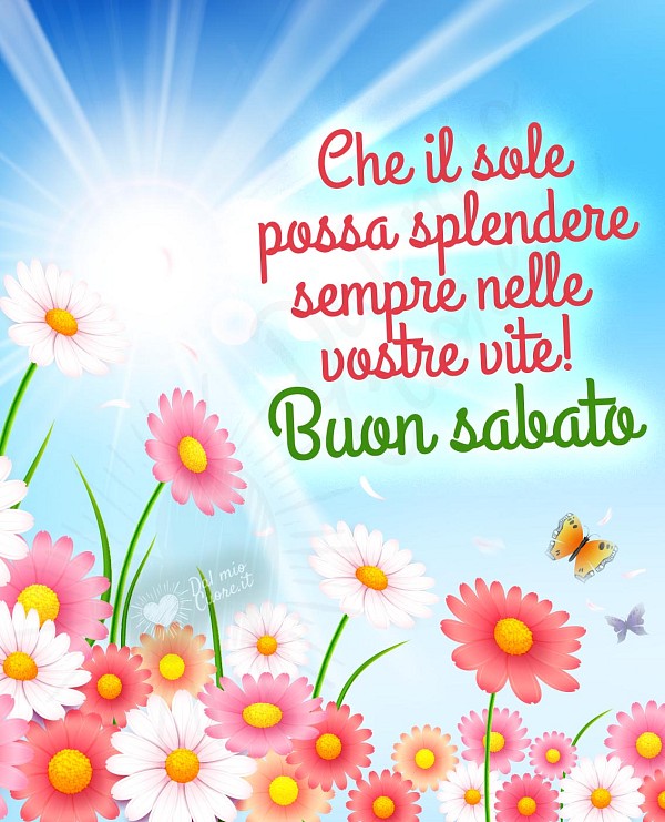 Buon sabato con fiori e sole