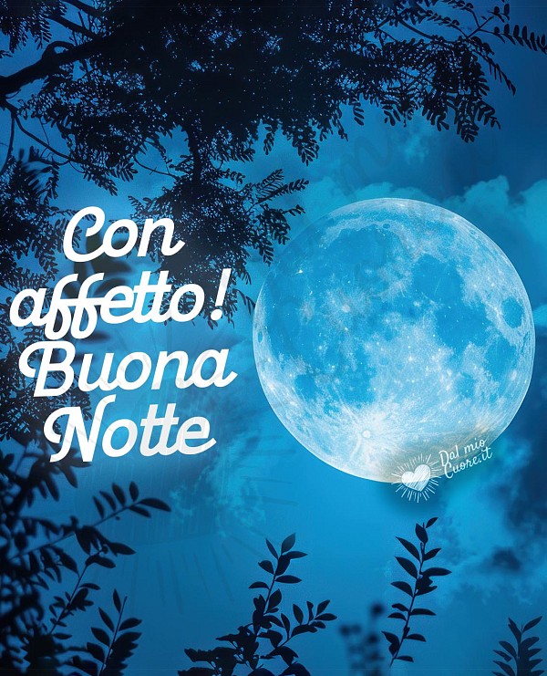 Con affetto! Buona Notte