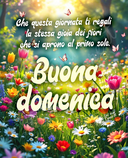 Immagine di buona domenica primaverile con fiori