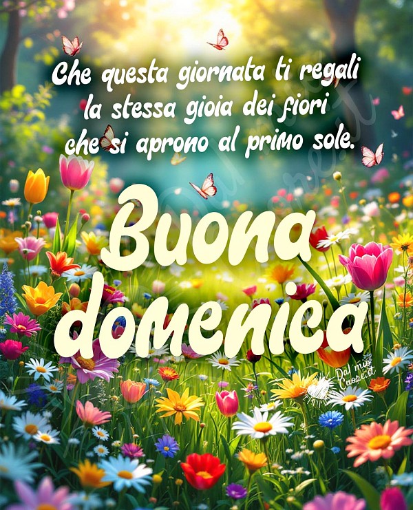 Immagine di buona domenica primaverile con fiori