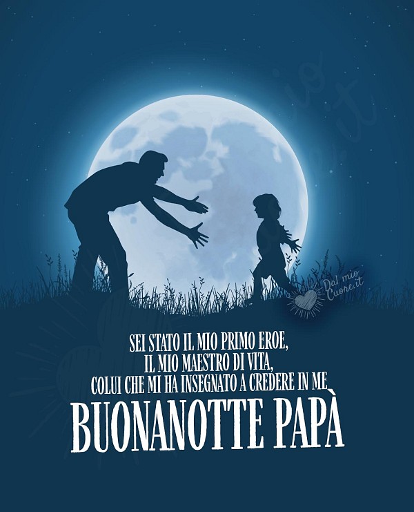 Sei stato il mio primo eroe, il mio maestro di vita, colui che mi ha insegnato a credere in me. Buonanotte Papà