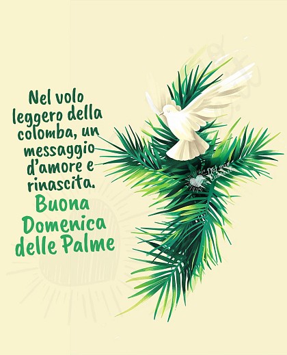 Nel volo leggero della colomba, un messaggio d’amore e rinascita. Buona Domenica delle Palme