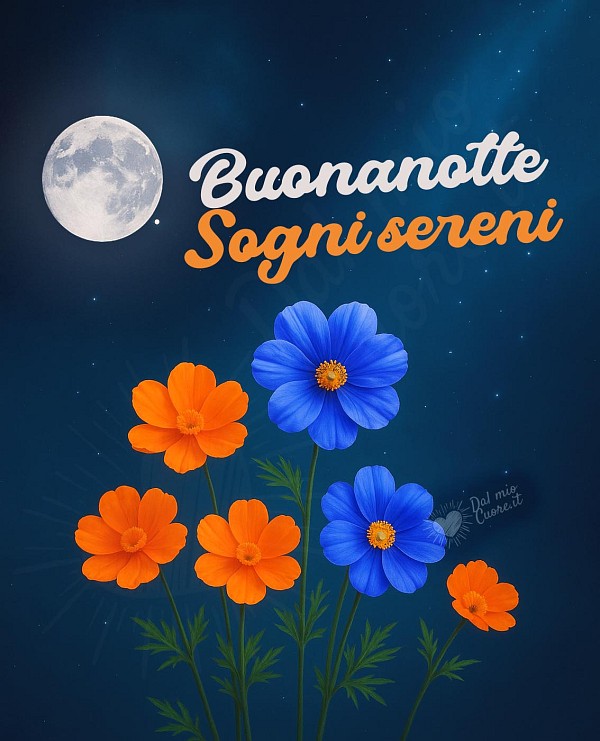Buonanotte, sogni sereni
