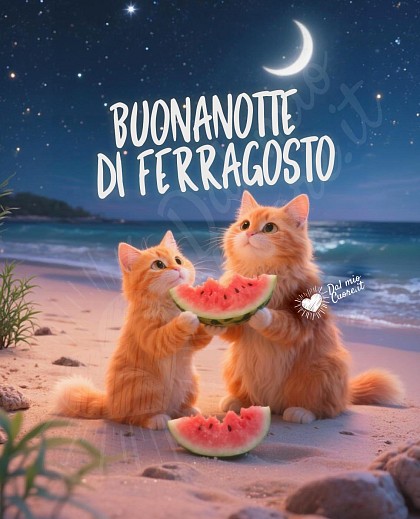 Buonanotte di Ferragosto