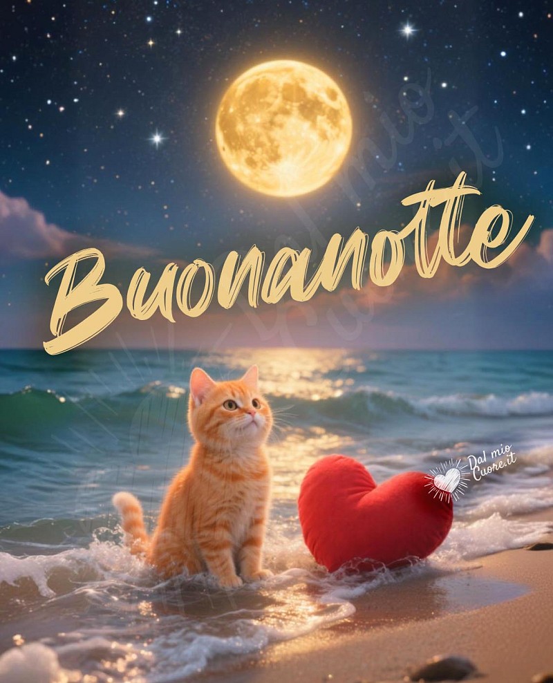 Immagine Buonanotte con gattino al chiaro di luna