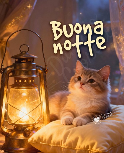 Buonanotte con micetto assonnato