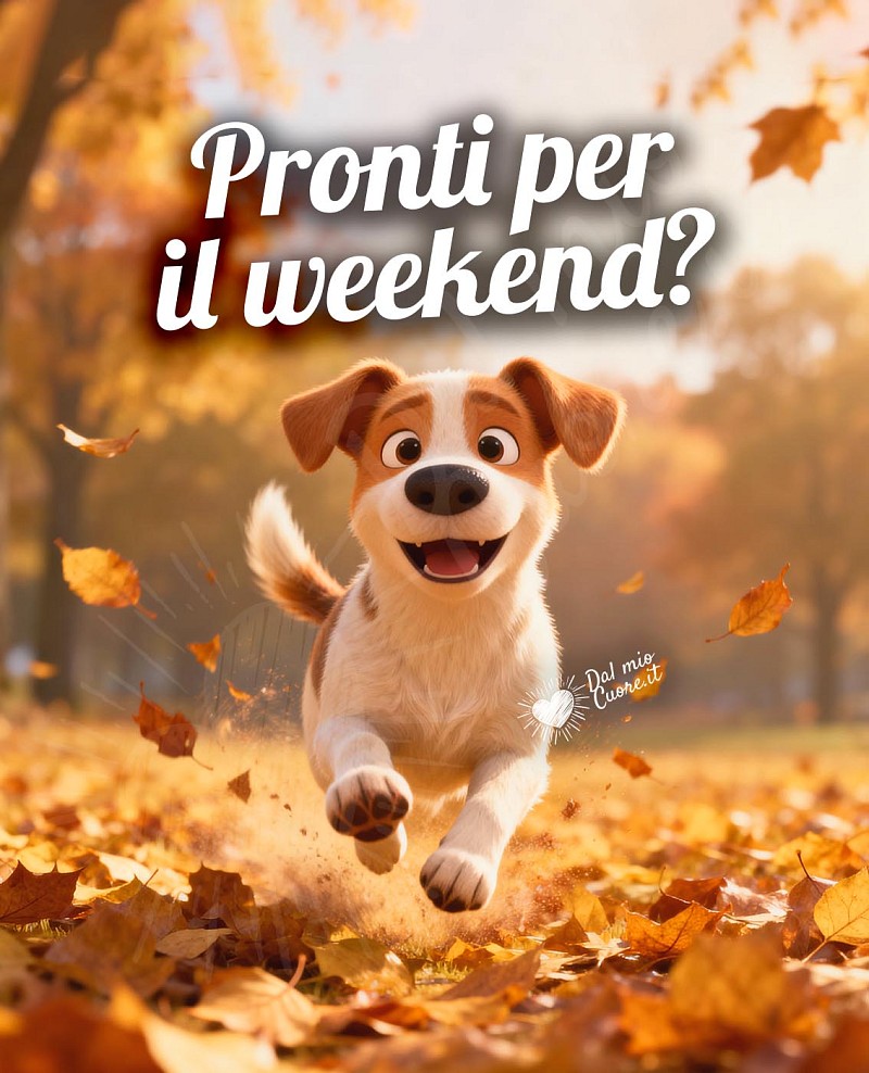 Pronti per il weekend?