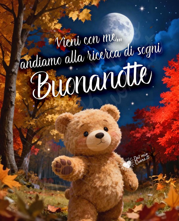 Buonanotte. Vieni con me... andiamo alla ricerca di sogni