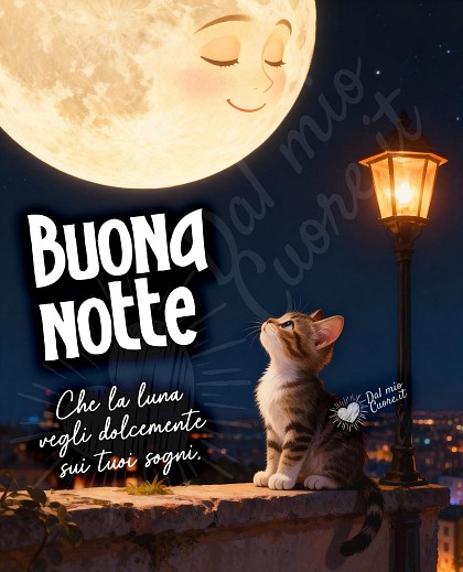 Buonanotte. Che la luna vegli dolcemente sui tuoi sogni