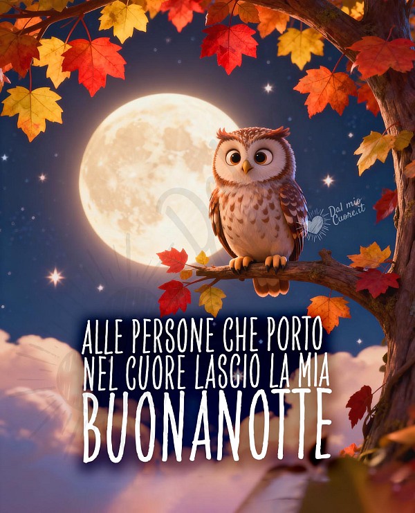 Alle persone che porto nel cuore lascio la mia Buonanotte