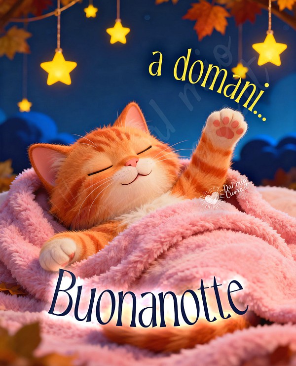 Immagine buonanotte a domani...