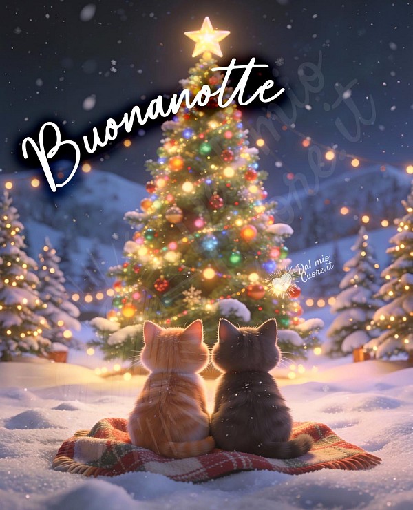 Buonanotte natalizia con gattini